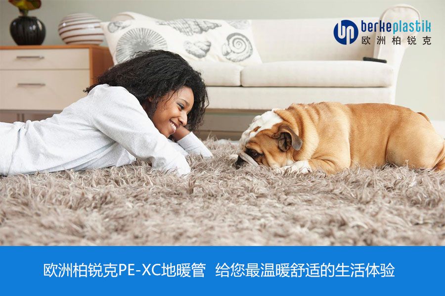 歐洲柏銳克PE-Xc地暖管