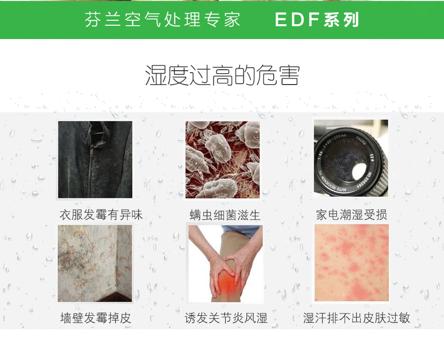 空氣濕度過高的危害